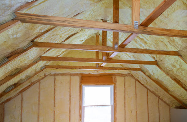 Best Residential Insulation in Vineyards, FL