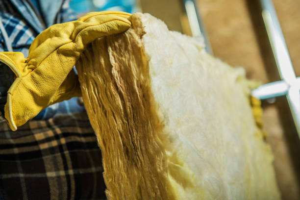 Best Blown-in Insulation in Vineyards, FL