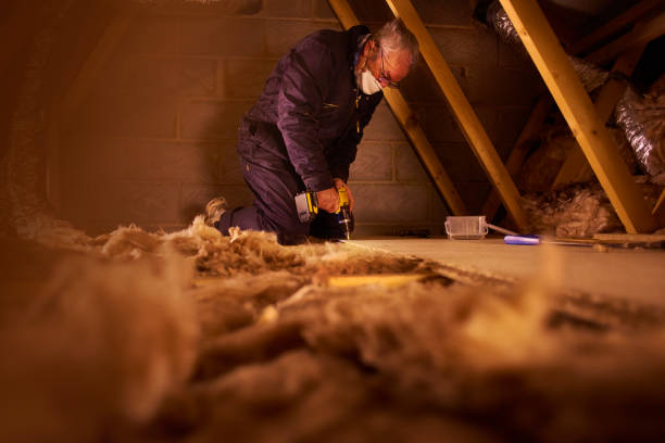 Types of Insulation We Offer in Vineyards, FL